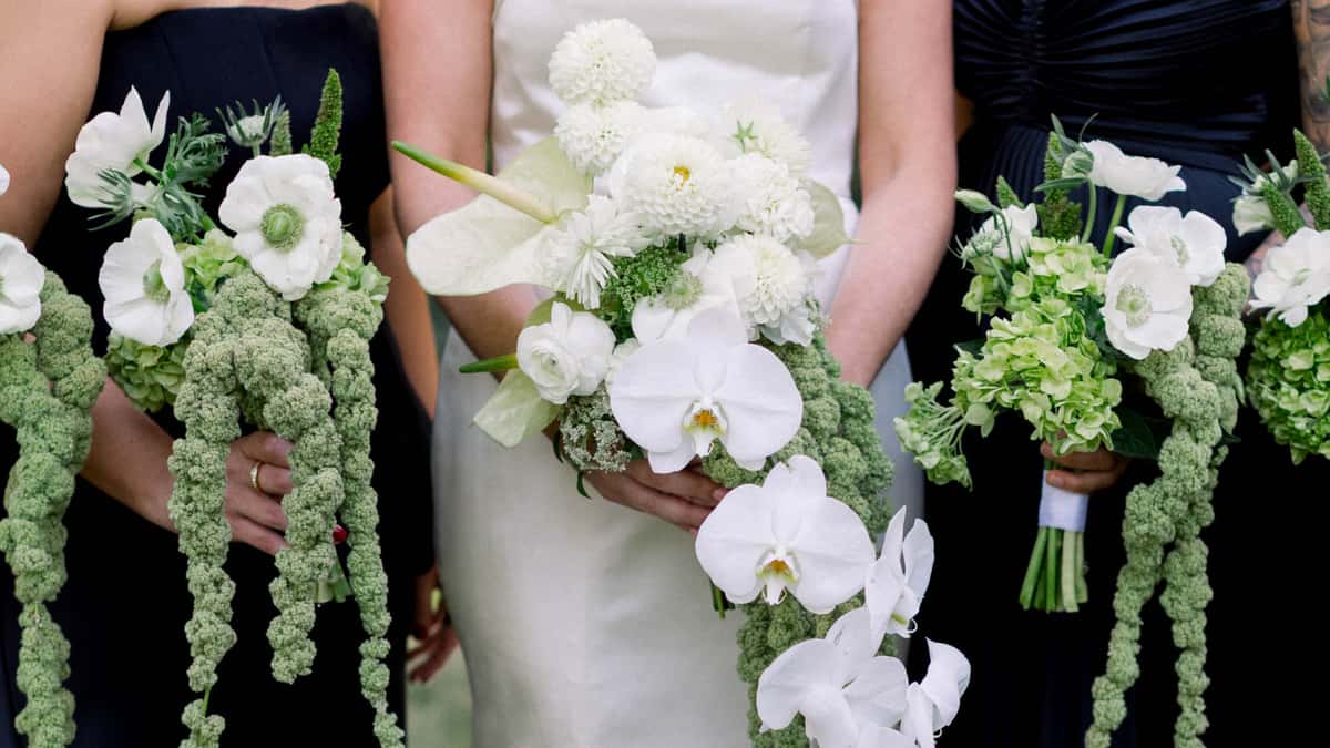 Bold Flowers