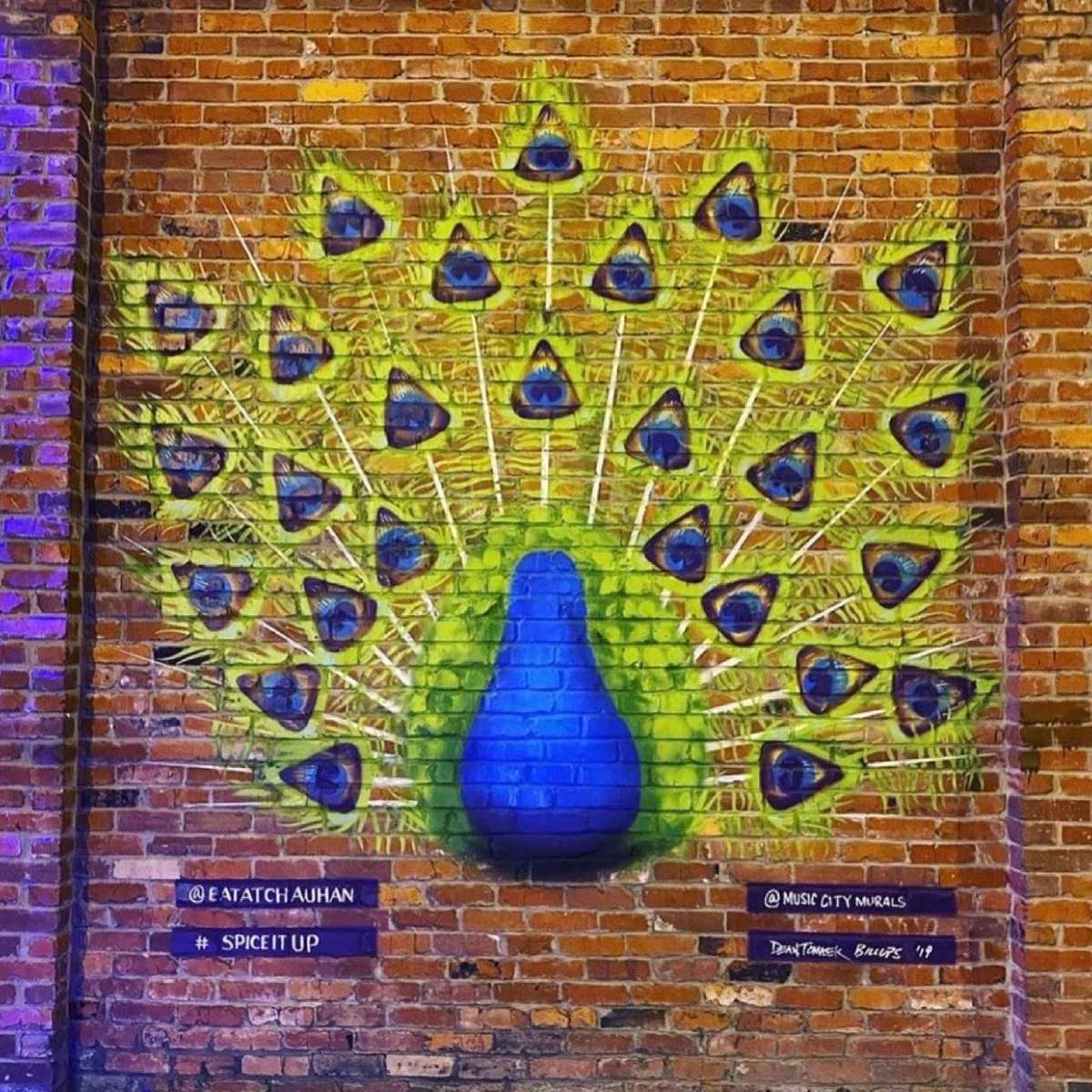 mural of peacokc
