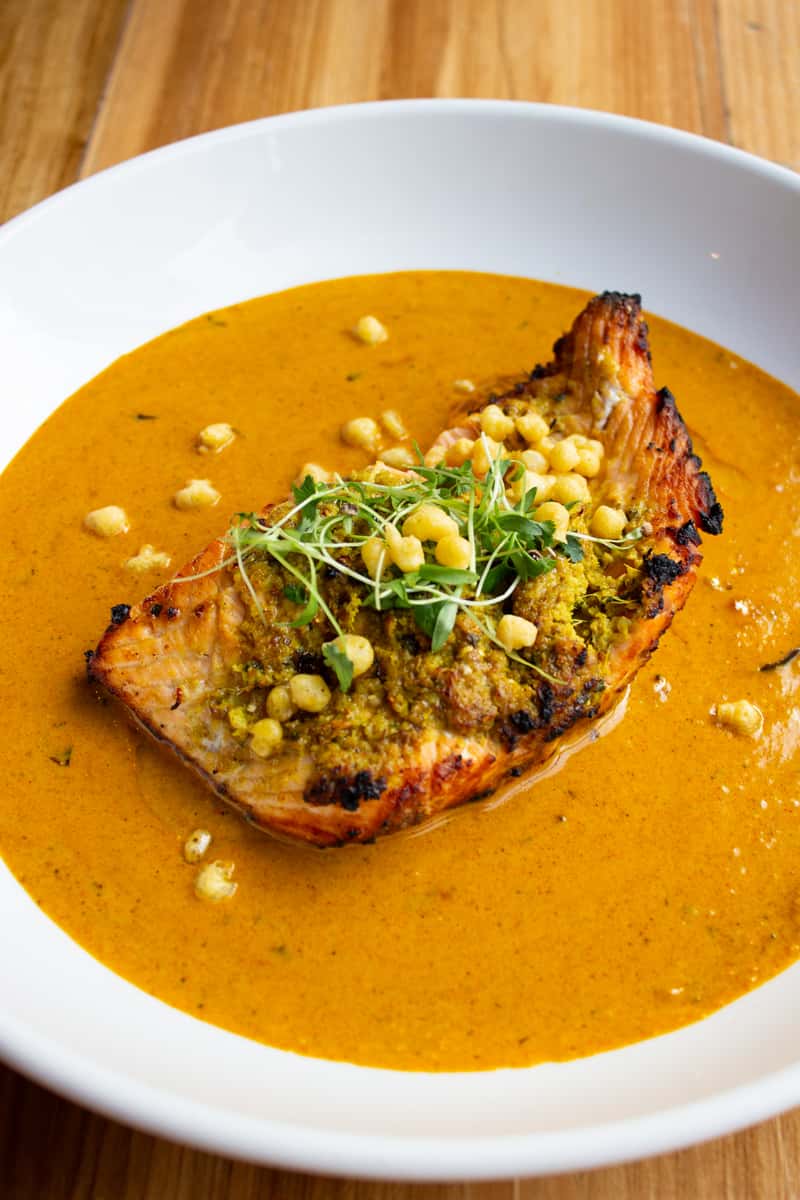 Salmon