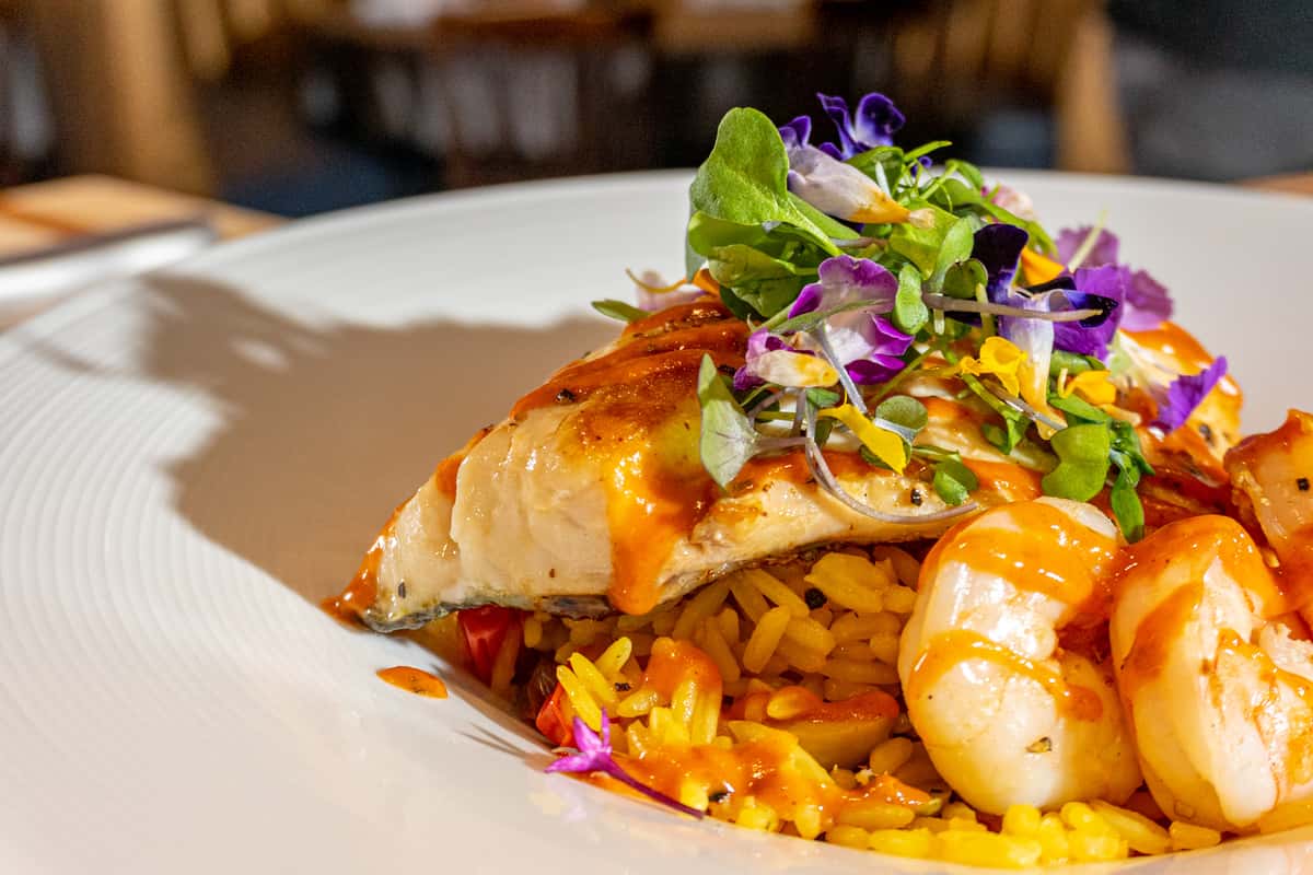 close up shot of the striped bass paella dish