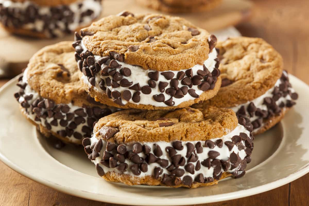 ice cream sandwich with chocolate chips