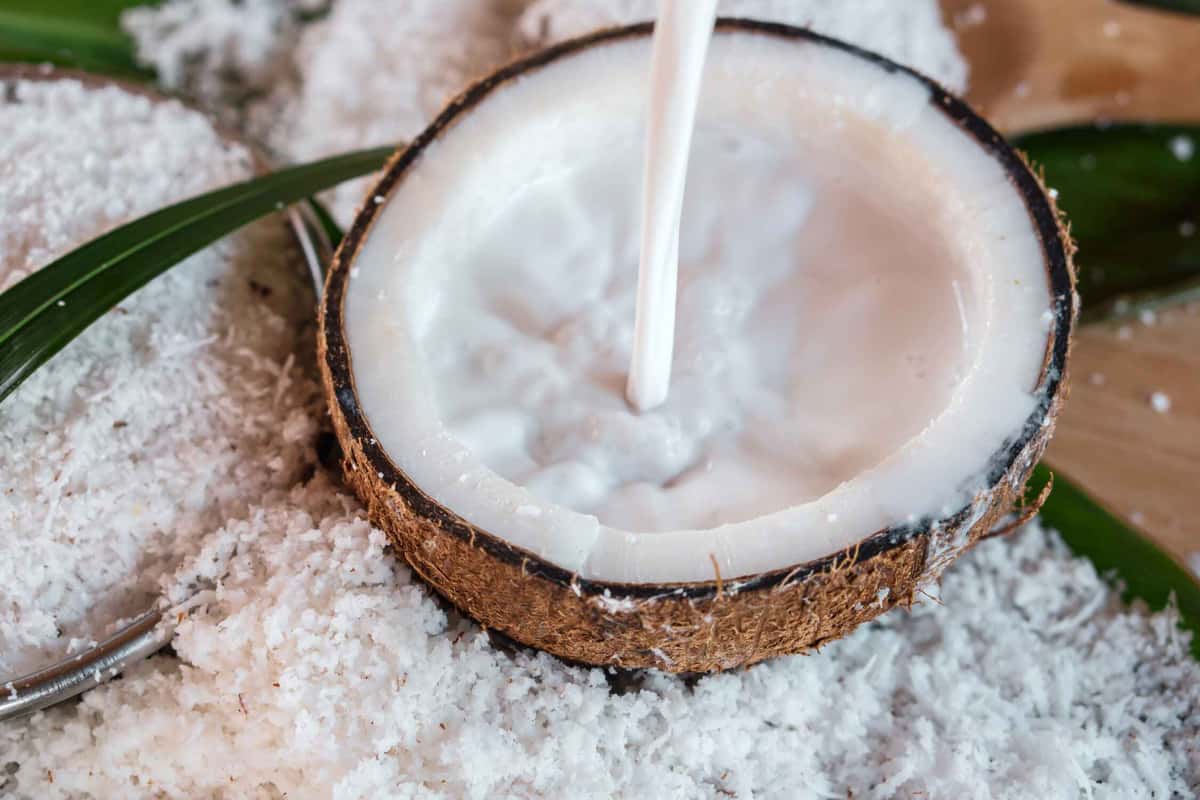 coconut with coconut milk