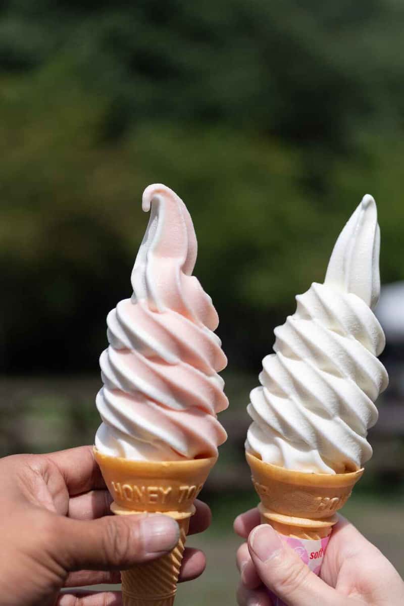 two soft serve swirls on a cone