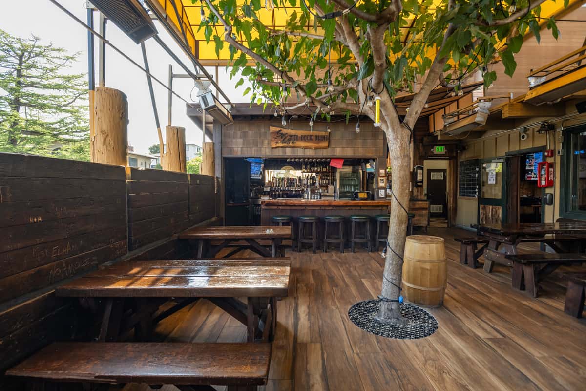 Rustic outdoor bar area at Dutch Goose featuring picnic-style wooden tables, a full-service bar with barstools, and a large shade canopy. A tree wrapped in string lights grows through the wooden deck, enhancing the casual beer garden vibe.