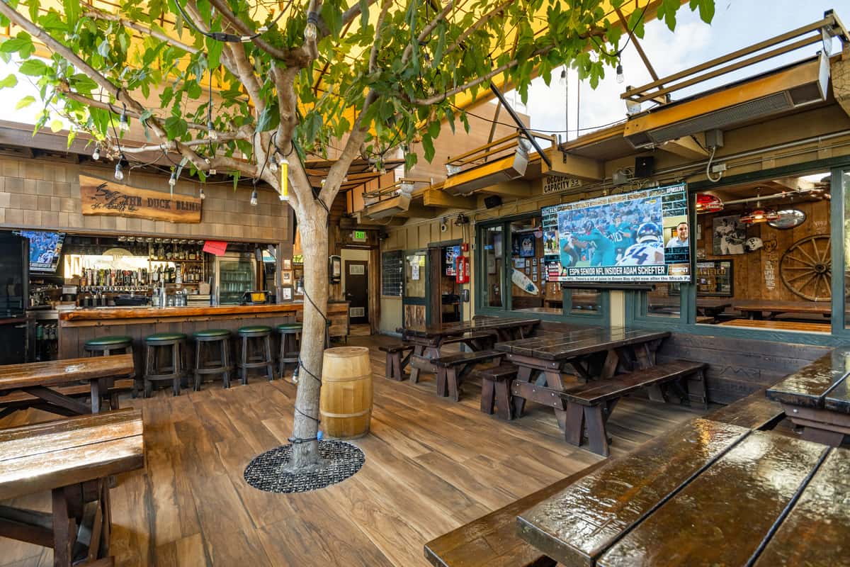 Open-air bar area at Dutch Goose featuring wooden picnic tables, a large flat-screen TV displaying live sports, and a full bar with multiple beer taps. The space includes a central tree wrapped in string lights, rustic wood decor, and a laid-back beer garden ambiance under a covered patio.