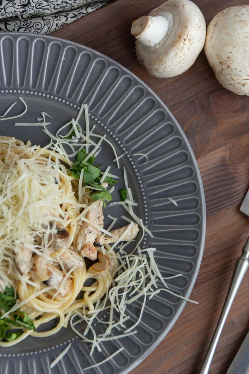 chicken alfredo