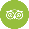 tripadvisor