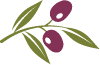 leaf illustration