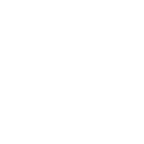 three dimensional drawing of a fish and anchor