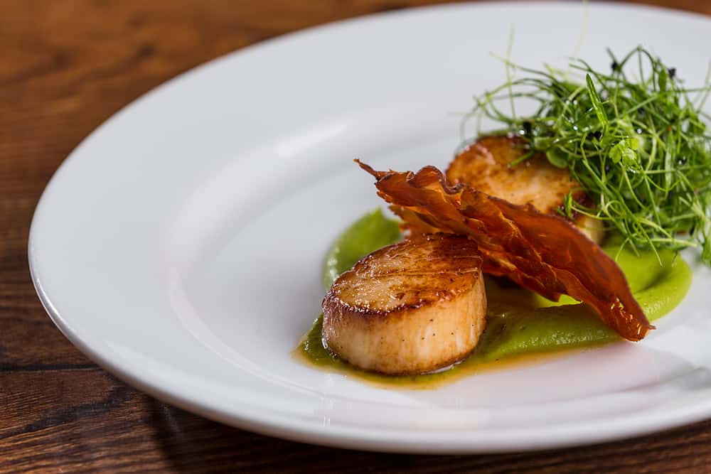 Scallops