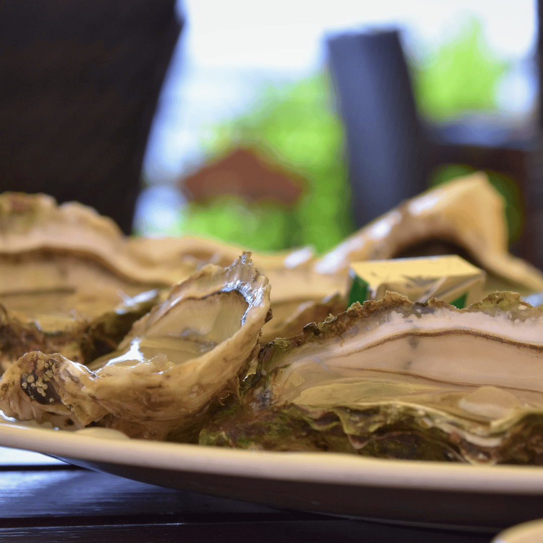 seafood
