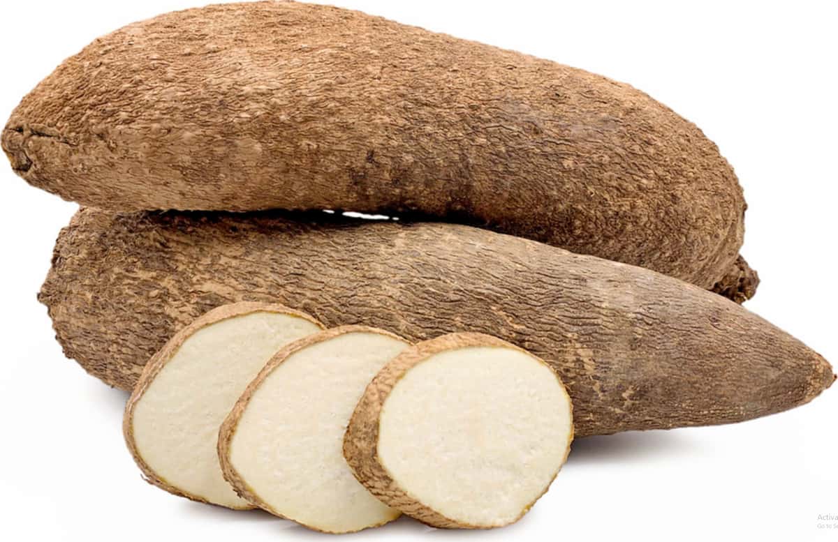 Two whole raw yams with rough brown skin and three round slices showing their white starchy interior on a white background.