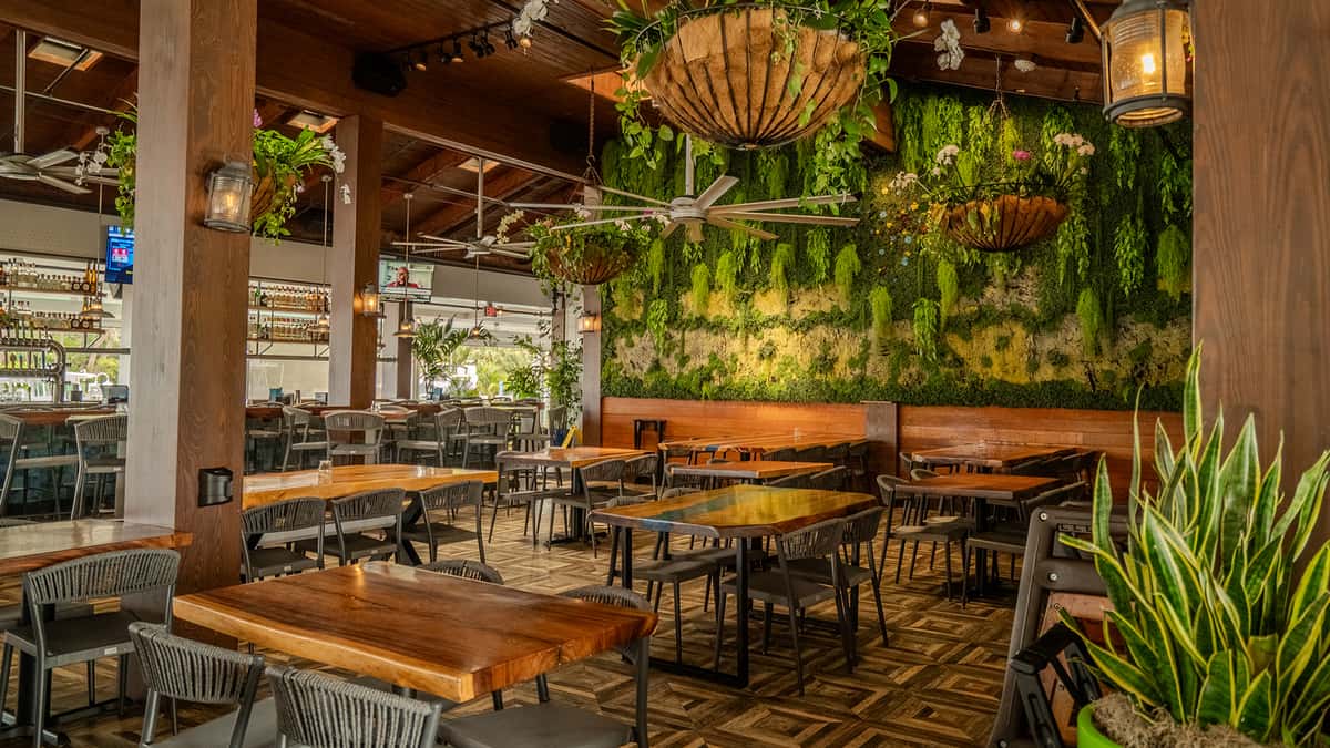 Photo of the Tropical Parrot Room at The Cove