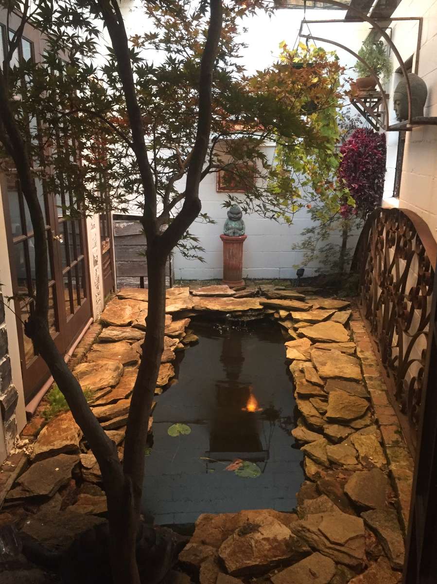 Koi Pond_