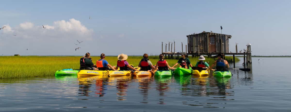 kayakers parked in a row