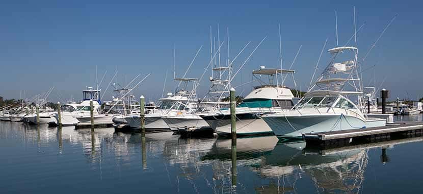 marina of large boats