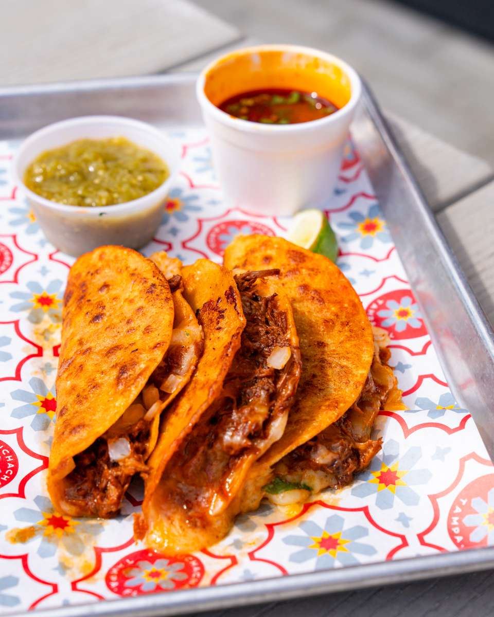 world famous quesatacos