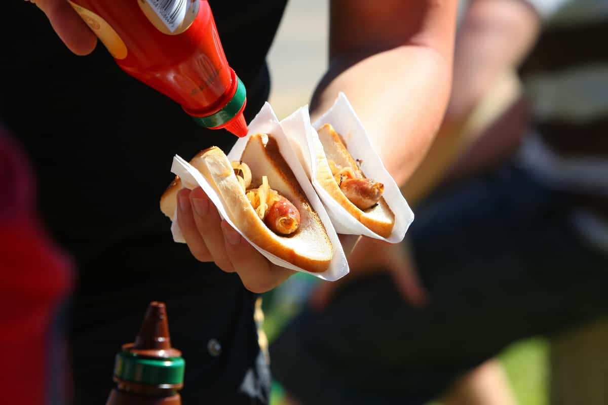 Hotdog sandwiches