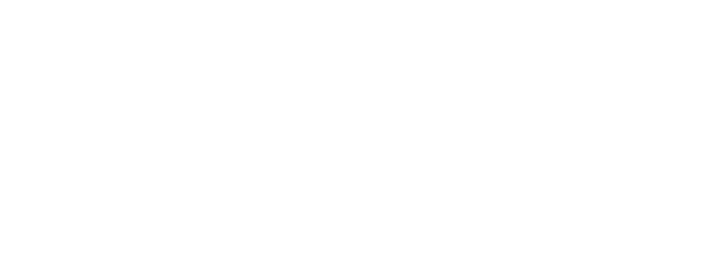 vicino-logo