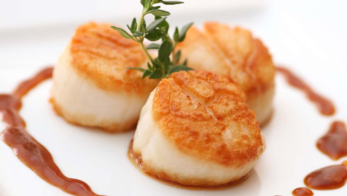 Seared scallops with a golden crust, garnished with fresh herbs and drizzled with a savory sauce on a white plate.