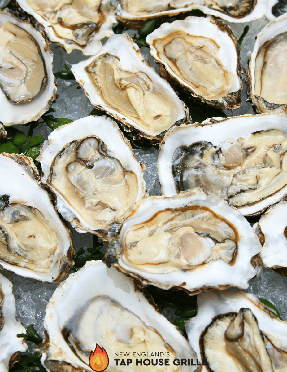 Evelyn Raw Bar — fresh oysters, crudo and charcuterie at New England's Tap House Grille