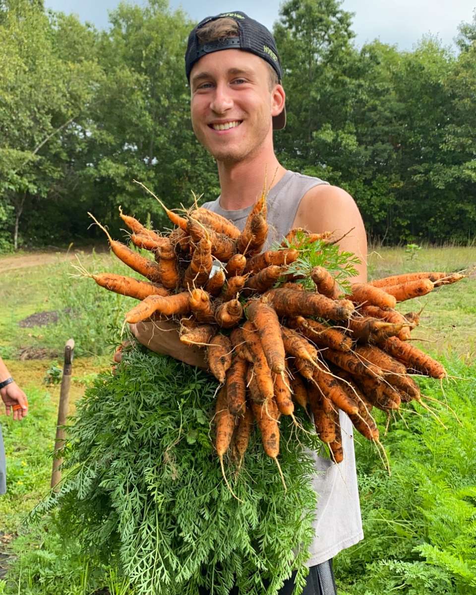 Hip Peas Farm — Grown right here in Hooksett, NH