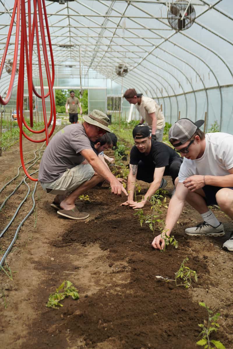 Planting at Hip Peas