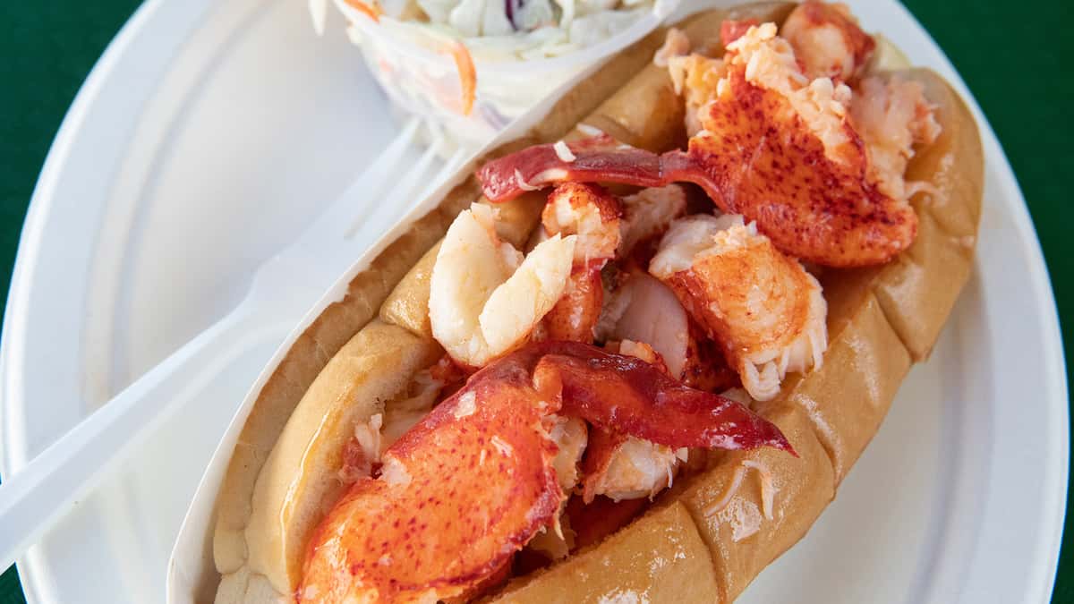 lobster roll photo