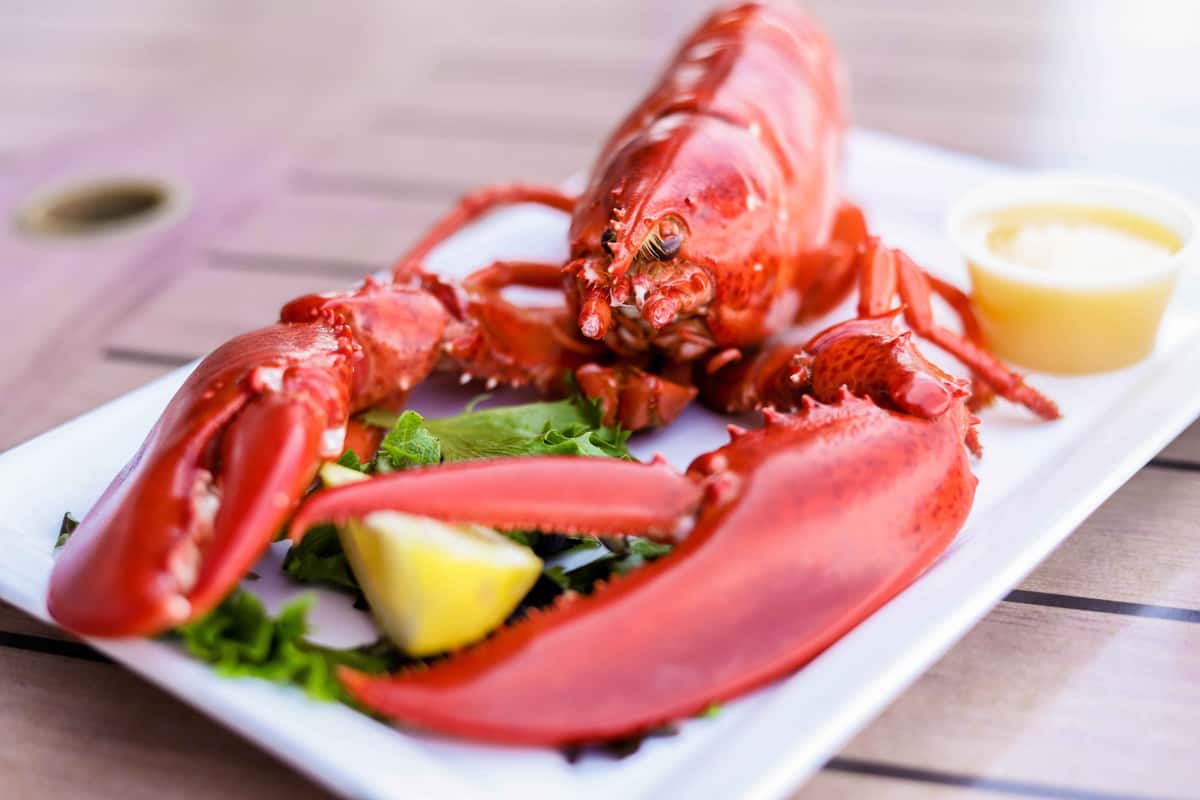 Lobster