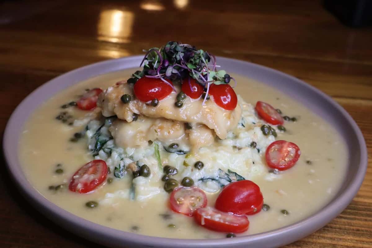 Pan-seared chicken piccata over creamy risotto, topped with capers, cherry tomatoes, and microgreens in a rich lemon butter sauce.