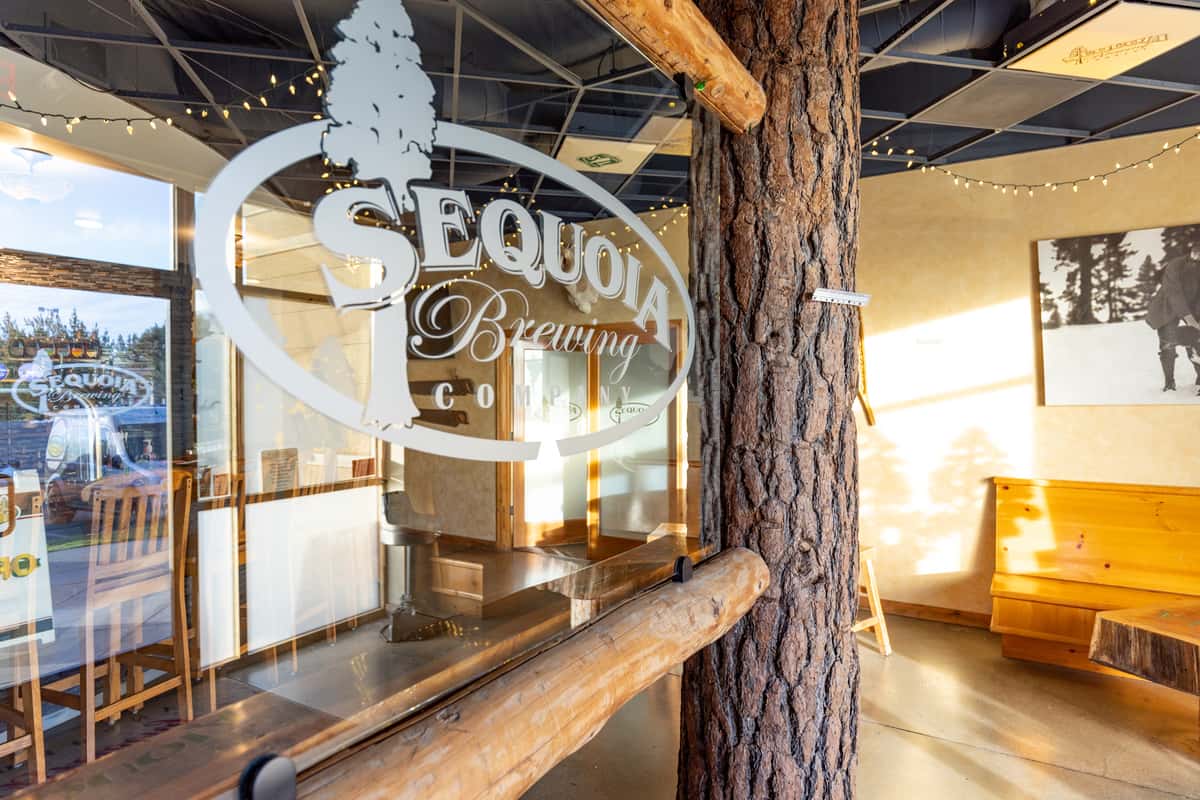 Interior view of Sequoia Brewing Company featuring a large etched glass logo window, rustic log and tree trunk accents, natural wood seating, and warm ambient lighting with string lights overhead.