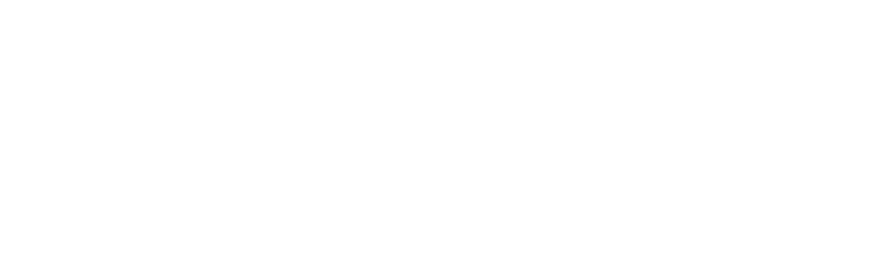 The Knot