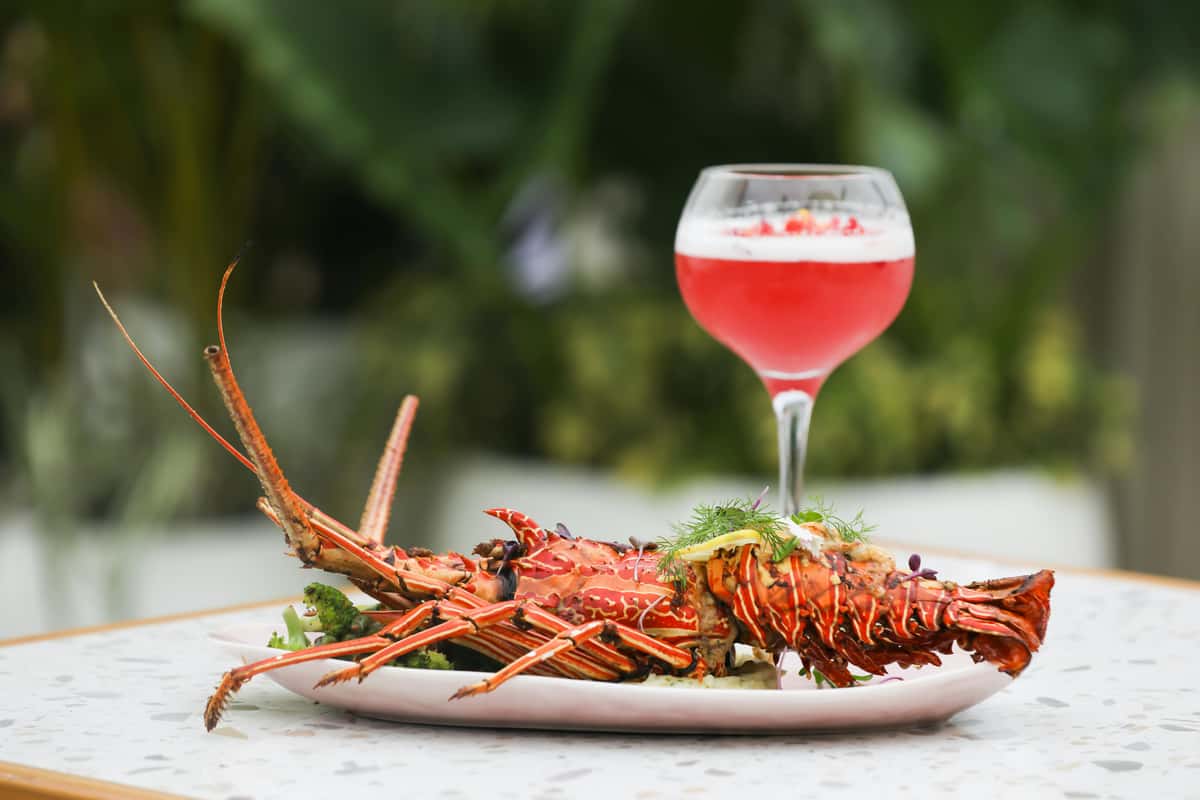 lobster with wine