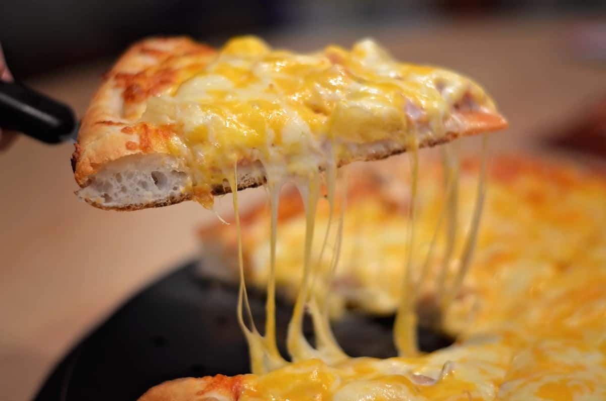 Selfish Cow Vegan Cheese
