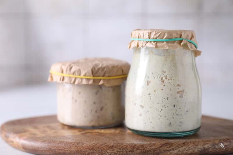 Sourdough with Spinato's Pizza