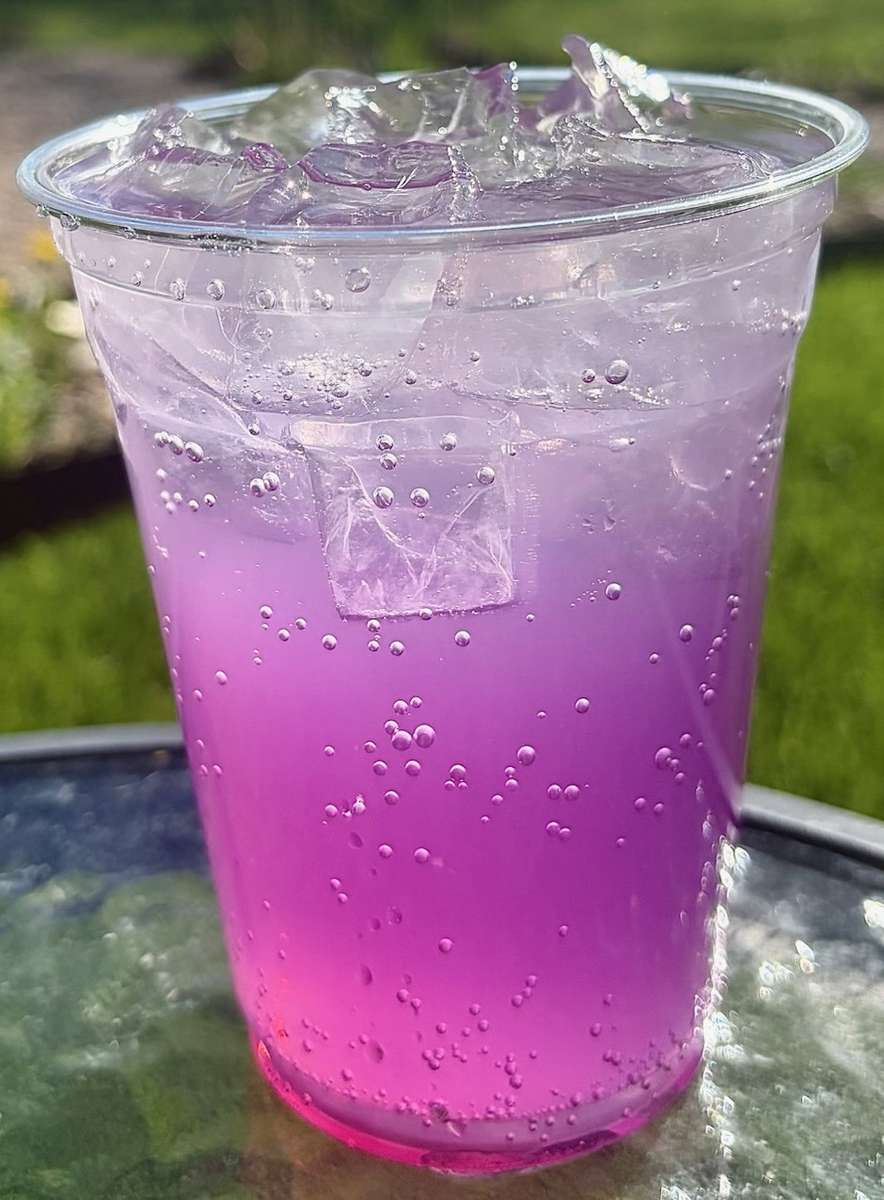 Dragon Fruit Coconut Lotus