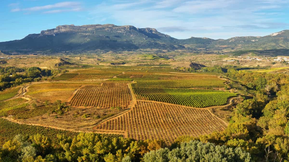 rioja