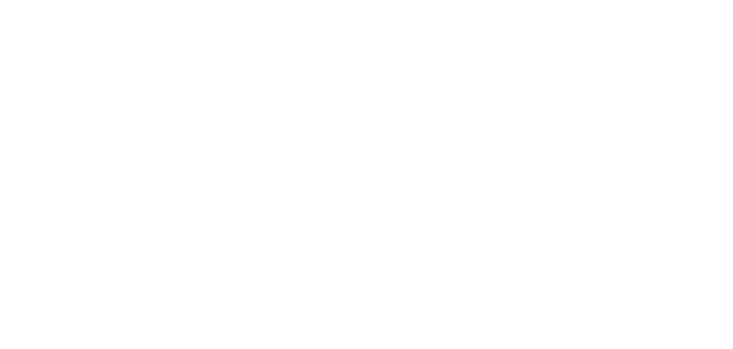 The Annie Cafe & Bar logo