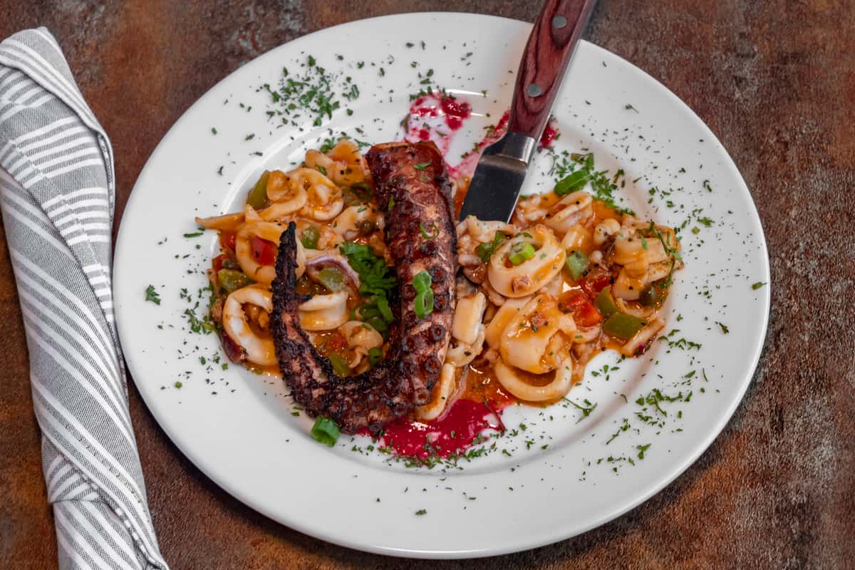 octopus