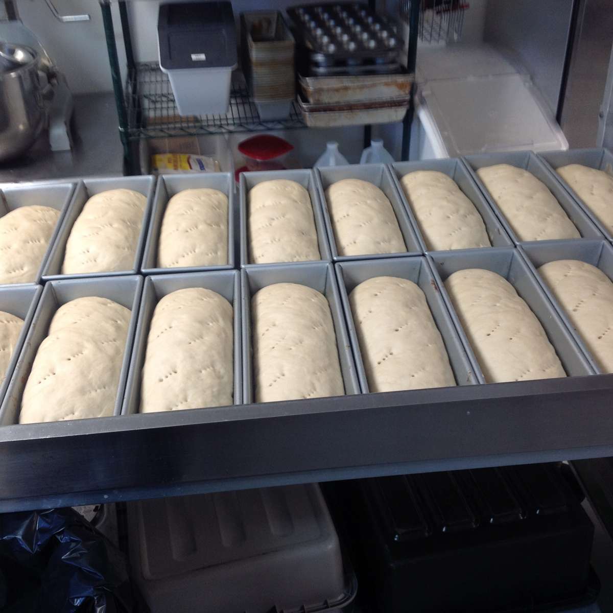 Multiple loaf pans filled with light-colored unbaked bread dough in the Sunflower Bakery Café kitchen.