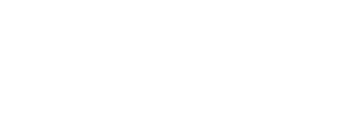 white nighthawk logo