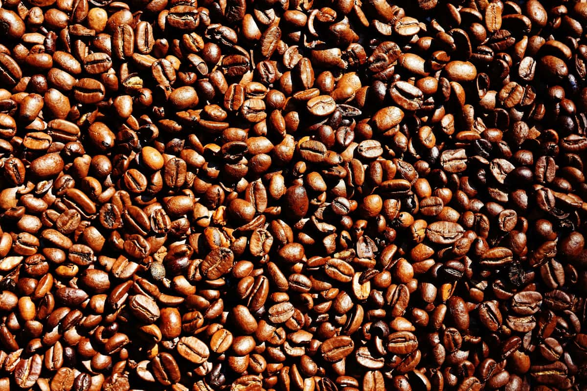 A close-up of roasted coffee beans in varying shades of brown under bright lighting.