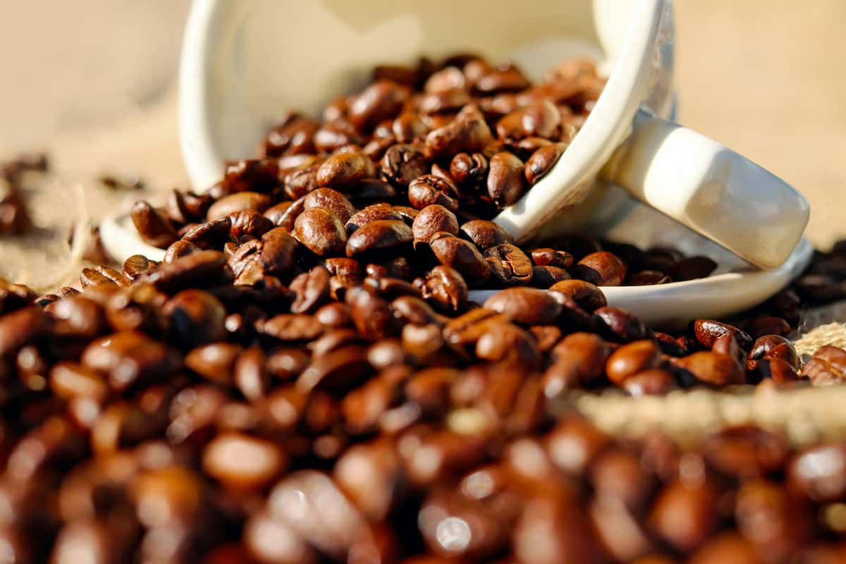 Roasted coffee beans spilling from a tipped white cup onto a surface covered with burlap.