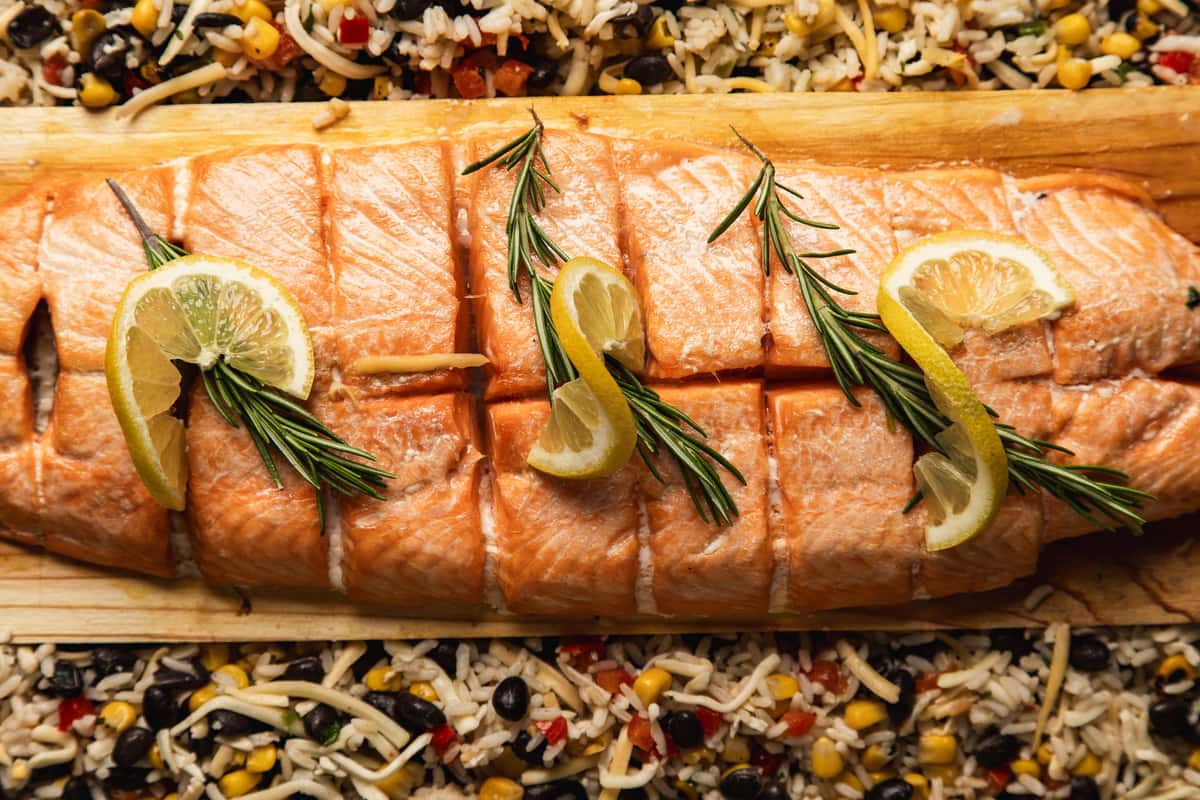 Salmon