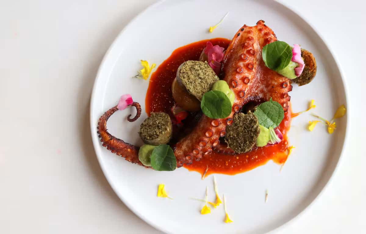 Pulpo