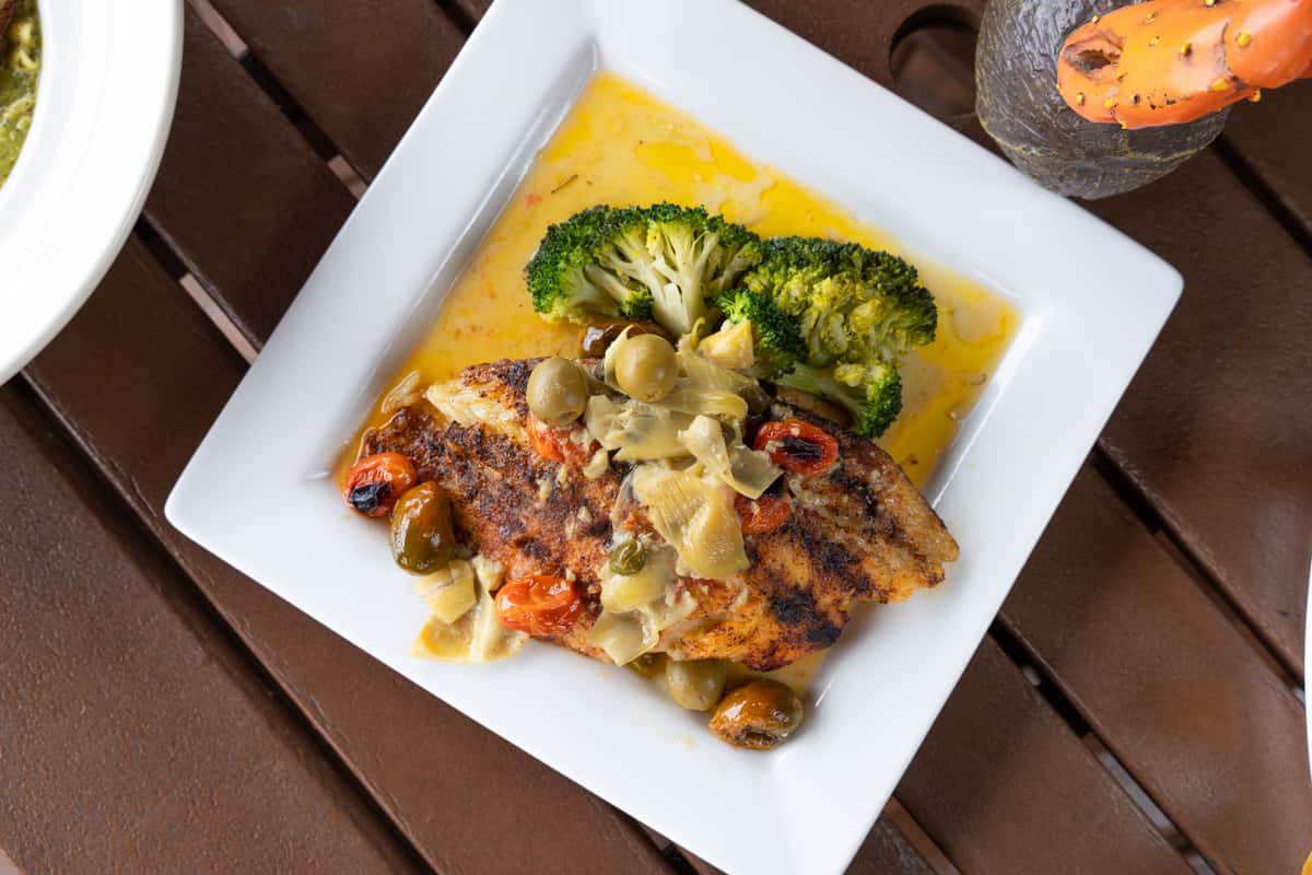 dish with chicken and brocolis