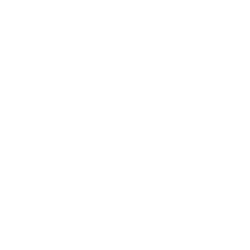 sake icon