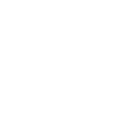 Gluten Free