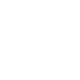 cocktails icon