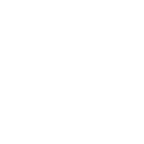 fish icon